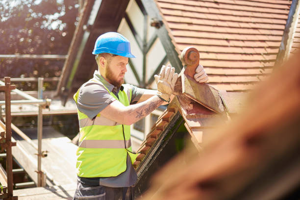 Best Roof Repair Services  in Burnsville, NC